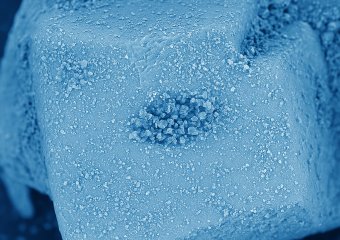 Fotografie z elektronového mikroskopu