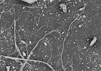 Průzkum přítomnosti azbestu ve školách: Naše laboratoř pomáhá zajistit bezpečné prostředí pro děti